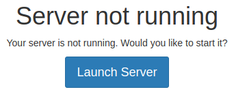 Launch server