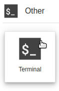 Open terminal